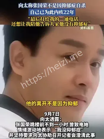 向太爆料张国荣